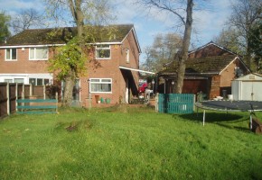 Back Garden